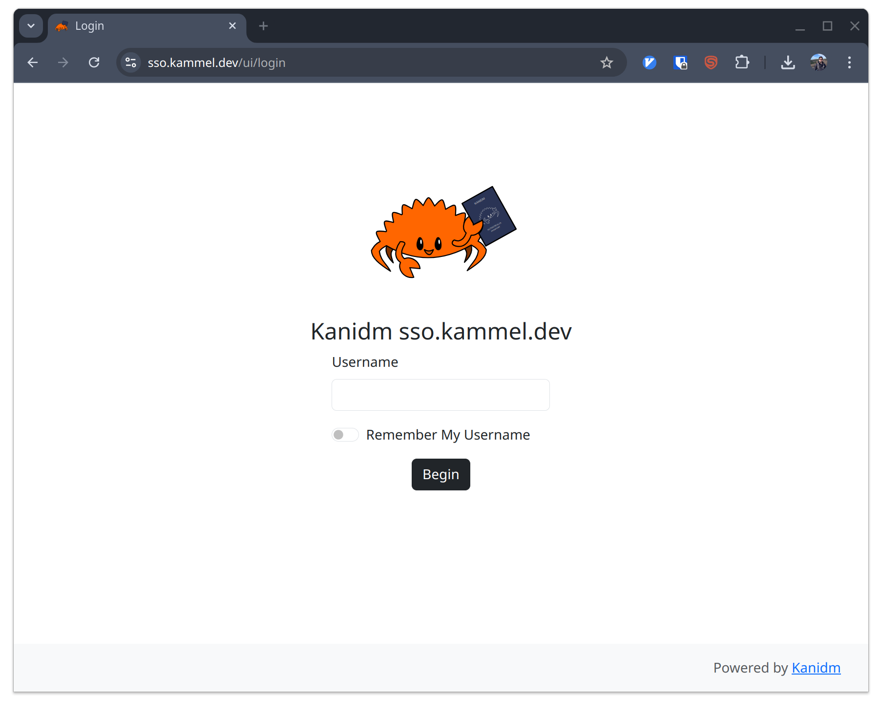 Default kanidm web interface