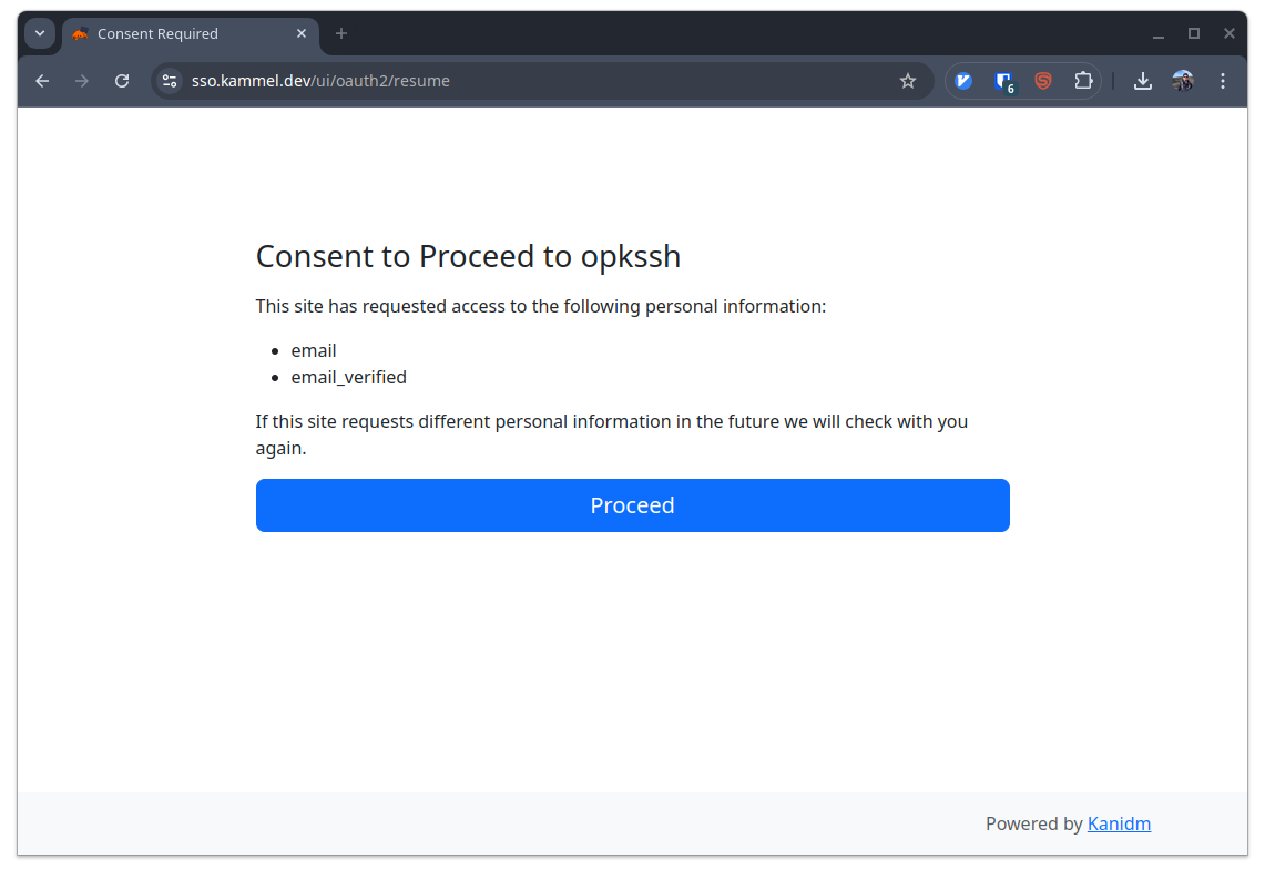 OAuth2 consent screen at first opkssh login.